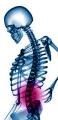 Bakman Osteopath- William Slann image 1