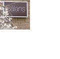 Balans Pilates Studio & Treatment Rooms logo
