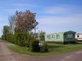 Balcomie Links Caravan Park image 3