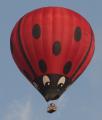 Balloon Adventure Flights image 1