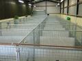 Ballyharvey Pet Country Club - Kennels & Cattery image 3