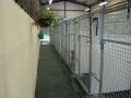 Ballyharvey Pet Country Club - Kennels & Cattery logo