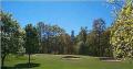 Banchory Golf Club image 5