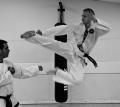 Banstead TaeKwon-Do Self Defence Martial Arts image 1