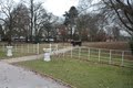 Bantock Park image 9