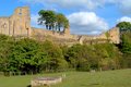 Barnard Castle image 5