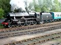 Barrow Hill Engine Shed image 3