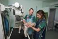 Batchelor, Davidson and Watson, Veterinary Surgeons image 5