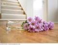 Bath Business Web – Flooring image 6