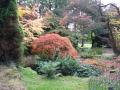 Batsford Arboretum image 7