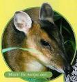 Beaver Zoological Gardens & Reptile Rescue Ltd image 3