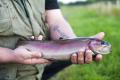 Beechgrove Fly Fishery image 2