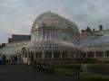 Belfast Botanic Gardens image 2