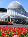 Belfast Botanic Gardens image 3
