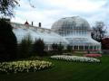 Belfast Botanic Gardens image 4