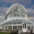 Belfast Botanic Gardens image 5