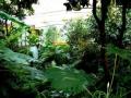 Belfast Botanic Gardens image 9