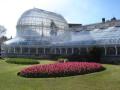 Belfast Botanic Gardens image 10
