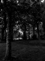 Bellahouston Park image 7