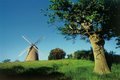 Bembridge Windmill image 2