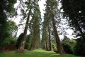 Benmore, Botanic Gardens (at) image 2