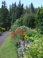 Benmore, Botanic Gardens (at) image 3