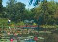 Bennetts Water Lily Farm image 1