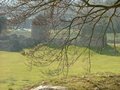 Berkhamsted Castle image 3