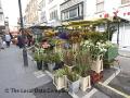 Berwick Street Market image 4