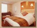 Best Western Roebuck Inn Hotel Stevenage image 6