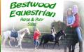 Bestwood Equestrian logo