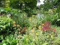Beth Chatto Gardens image 2