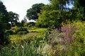 Beth Chatto Gardens image 3