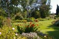 Beth Chatto Gardens image 5