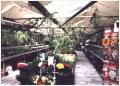 Betws-y-Coed Garden Nursery image 1