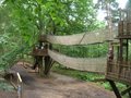 Bewilderwood image 4