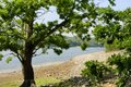 Bewl Water Outdoor Centre image 5