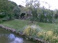 Bibury Trout Farm image 3