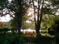 Bibury Trout Farm image 1