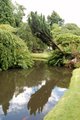 Biddulph Grange image 8