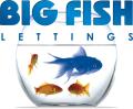 Big Fish Lettings logo