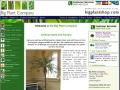 Big Plant Company image 2