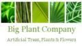 Big Plant Company logo