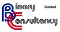 Binary Consultancy logo