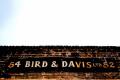 Bird & Davis Ltd image 2
