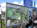 Birdland image 6