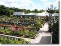 Birkacre Nurseries and Garden Centre Ltd image 1