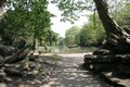 Birkenhead Park image 8