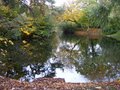 Birkenhead Park logo