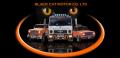 Black Cat Motor Co Ltd logo